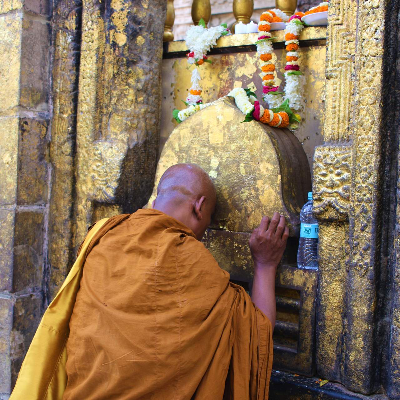 Monge Budista junto à Árvore de Bodhi no Mahabodhi temple na Peregrinação Budista