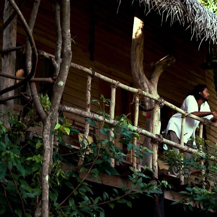 Tree House Varanda – grande