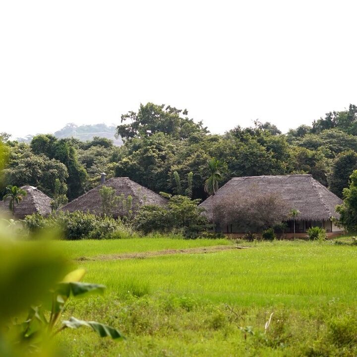 Vista Dwellings – grande