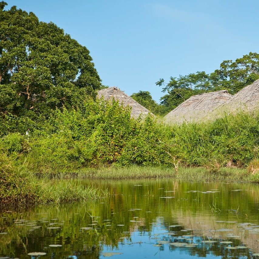 amuna-lago – grande