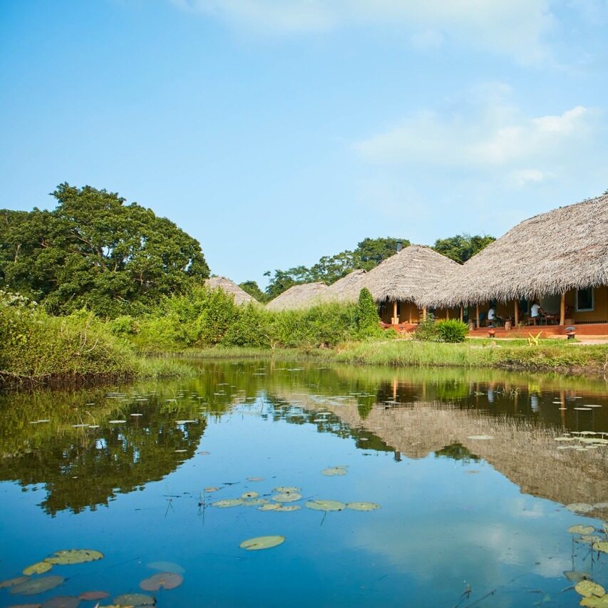 amuna - property -64 – grande