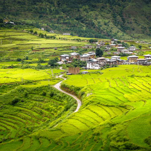 Paisagem verde com aldeia na viagem ao Butão