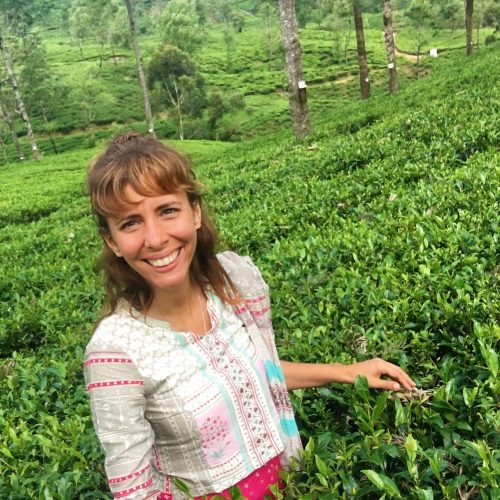 Diana numa plantação de chá no Sri Lanka