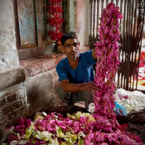 Flores Varanasi Índia