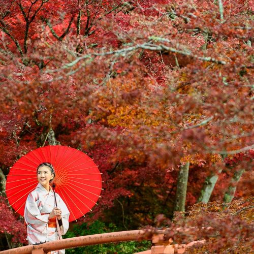 Viagem Espiritual Japão