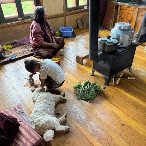 Sala em casa de família com criança a brincar e cão