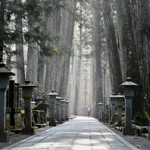 Vista para uma rua de um cemitério no japão, com luz de final de dia