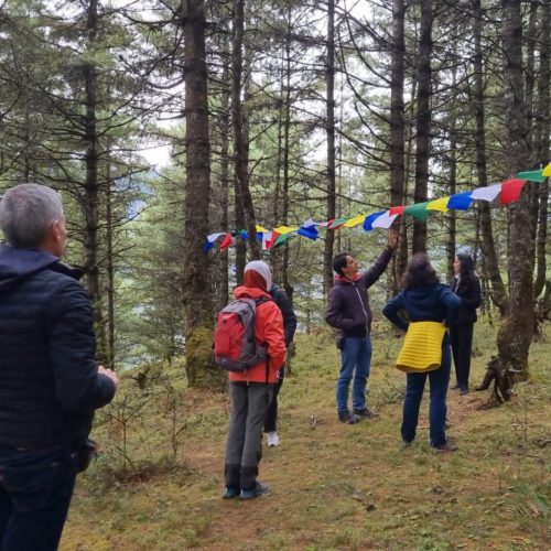 Grupo no Butão pendura bandeirinhas Budistas de Oração numa floresta