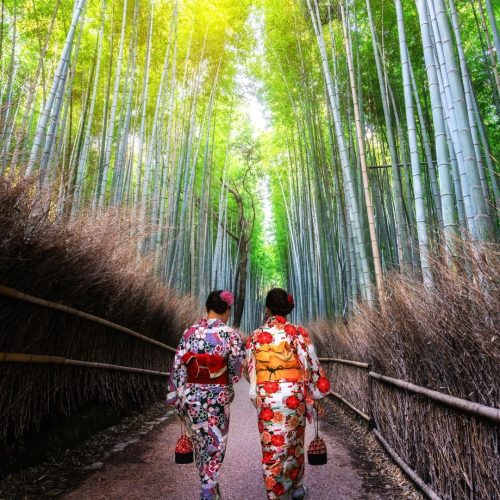 Duas mulheres, talvez geishas, vestidas com trajes típicos japoneses, caminham de costas para a fotografia no meio de uma floresta de bambus