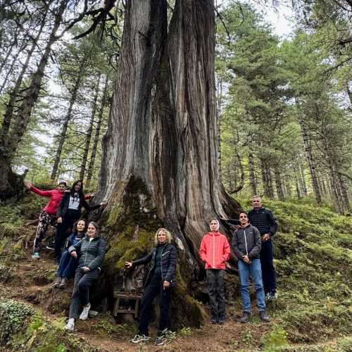 Grupo a volta de uma árvore milenar numa floresta no Butão.