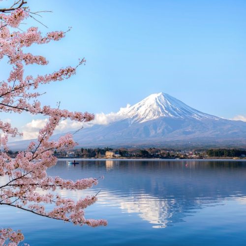 Vista para o monte Fuji, ao fundo, com um lago e uma sakura em flor